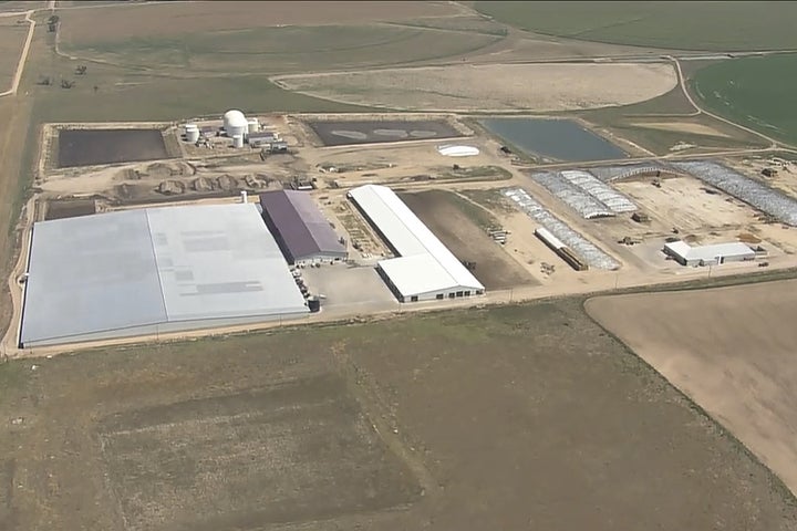 Esta imagem tirada do vídeo fornecida por Denver7 mostra um laticínio em Keenesburg, Colorado, na quinta -feira, 21 de agosto de 2025, onde as autoridades dizem que seis pessoas morreram de um aparente acidente envolvendo exposição ao gás. (Denver7/kmgh via AP)