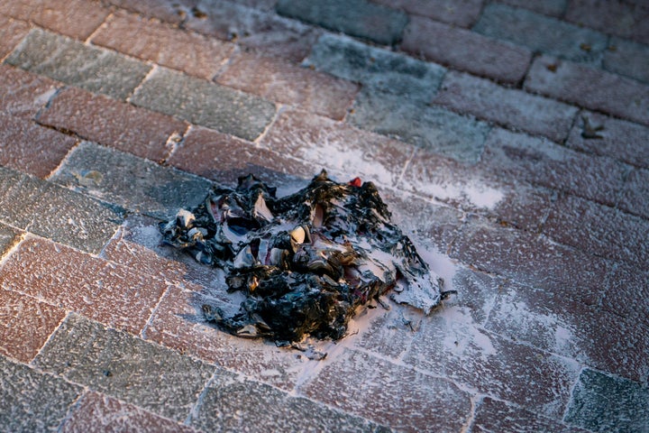The protester burns the flag outside the White House hours after Trump 1 The carbonized remains of a burned flag in protest for the recent executive order of President Donald Trump.