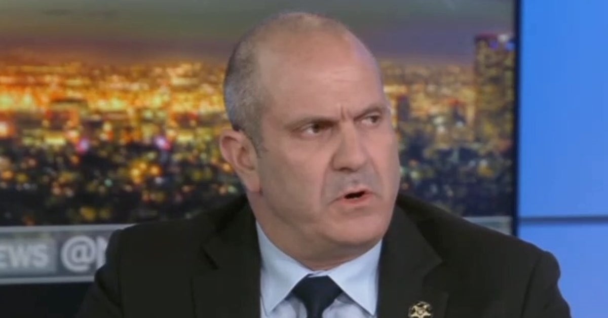 Fox News Guest Slammed For Pushing This '1984'-Like Solution To Mass Shootings