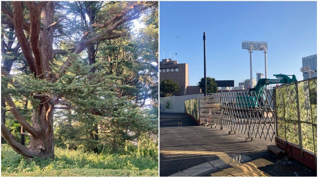 東京・明治神宮外苑。専門家のチームが樹木がある場所とない場所で気温を計測した