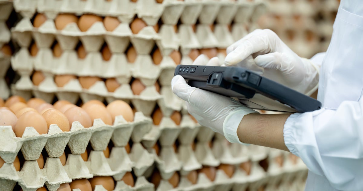 Salmonella Outbreak Tied To Recalled Eggs Has Sickened 95 People Since January