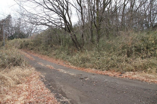 どこに隠れているのか……