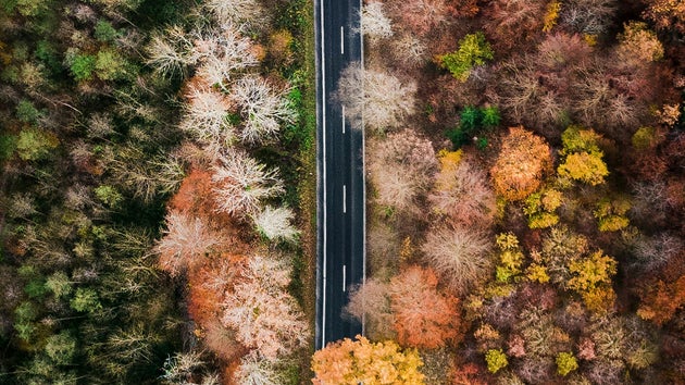 Different seasons on either side of road