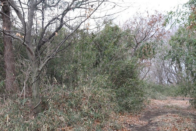 自衛官が潜んでいます