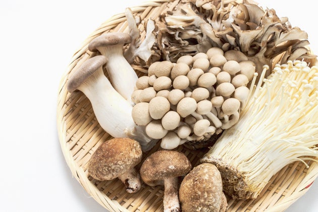 きのこ（イメージ写真）