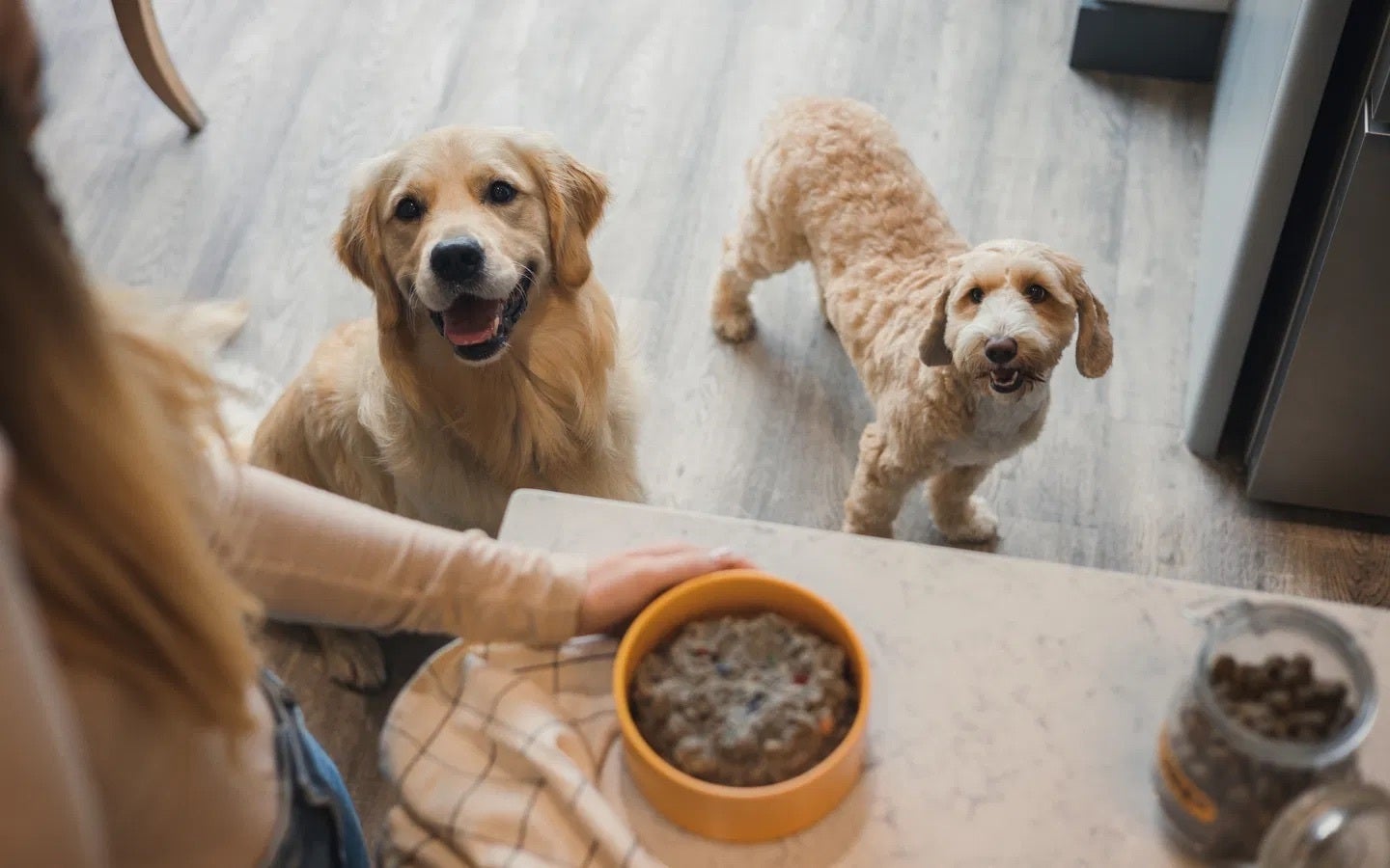 Listen Up Dog Owners – We've Found The Best Personalised Pet Food On The Market