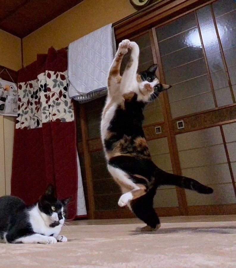 ドジャース“レジェンド”野茂英雄、 ワールドシリーズ始球式に登場