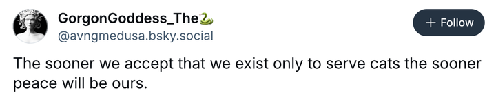 Screenshot @avngmedusa.bsky.social via Bluesky