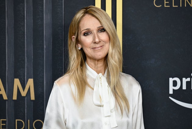 Céline Dion at a screening of her documentary I Am last year