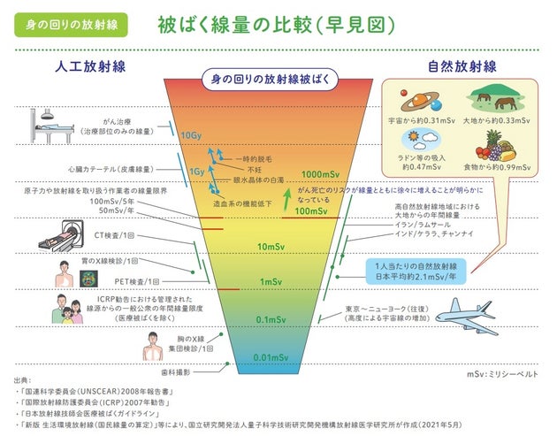 被ばく線量の比較