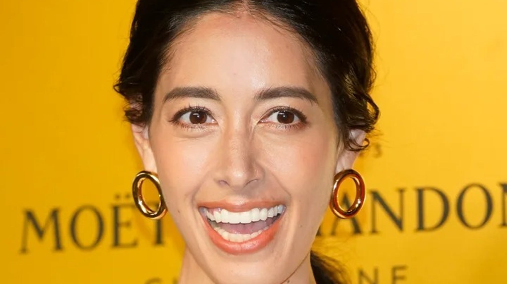 森泉、自宅ガーデニングで満開になった“壁一面のモッコウバラ”公開⇒2 