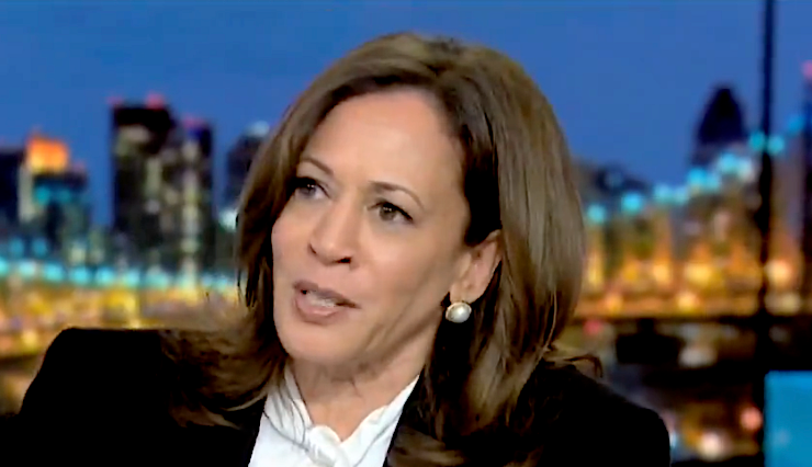 White House Makes Big Stretch Of A Claim Over Kamala Harris Comments