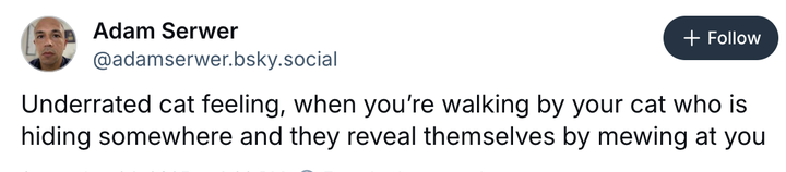 Screenshot @adamserwer.bsky.social via Bluesky