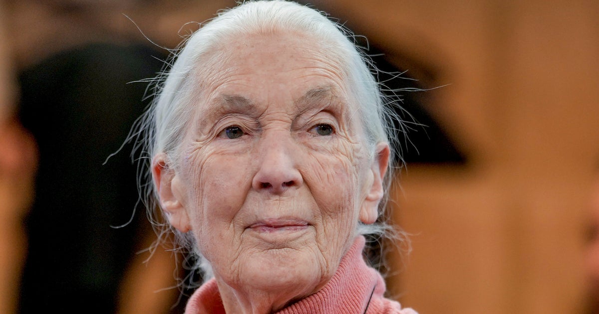 World-Famous Primatologist And Activist Jane Goodall Dies