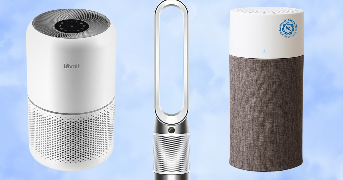 People With Asthma And Allergies Share The Air Purifiers That 'Actually ...