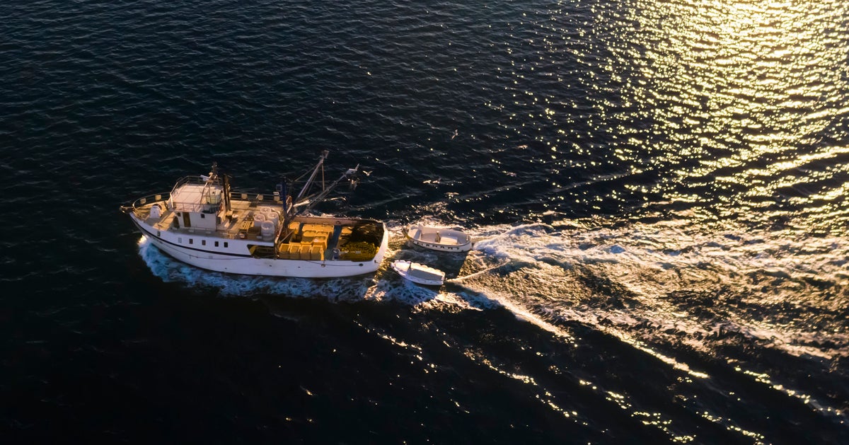 ‘If We Die, We Die’: The Caribbean Fishers Living In Fear Of U.S. Military Strikes