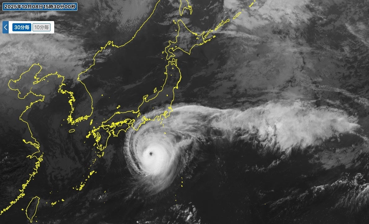 Hammo 台風山葵5.6 Hammo 台風山葵5.6