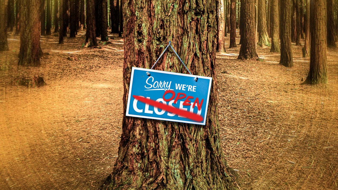 Illustration: HuffPost; Photos: Getty