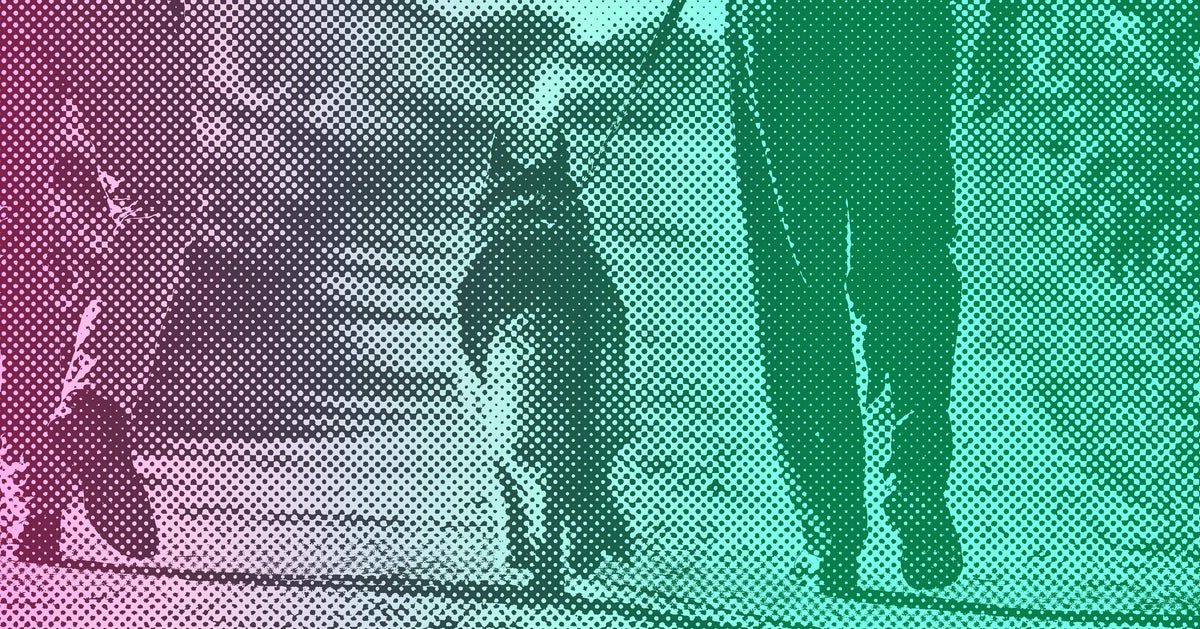 https://img.huffingtonpost.com/asset/68e7a84f150000bc3a269c58.jpg?cache=rUIDSo5yQS&ops=1200_630