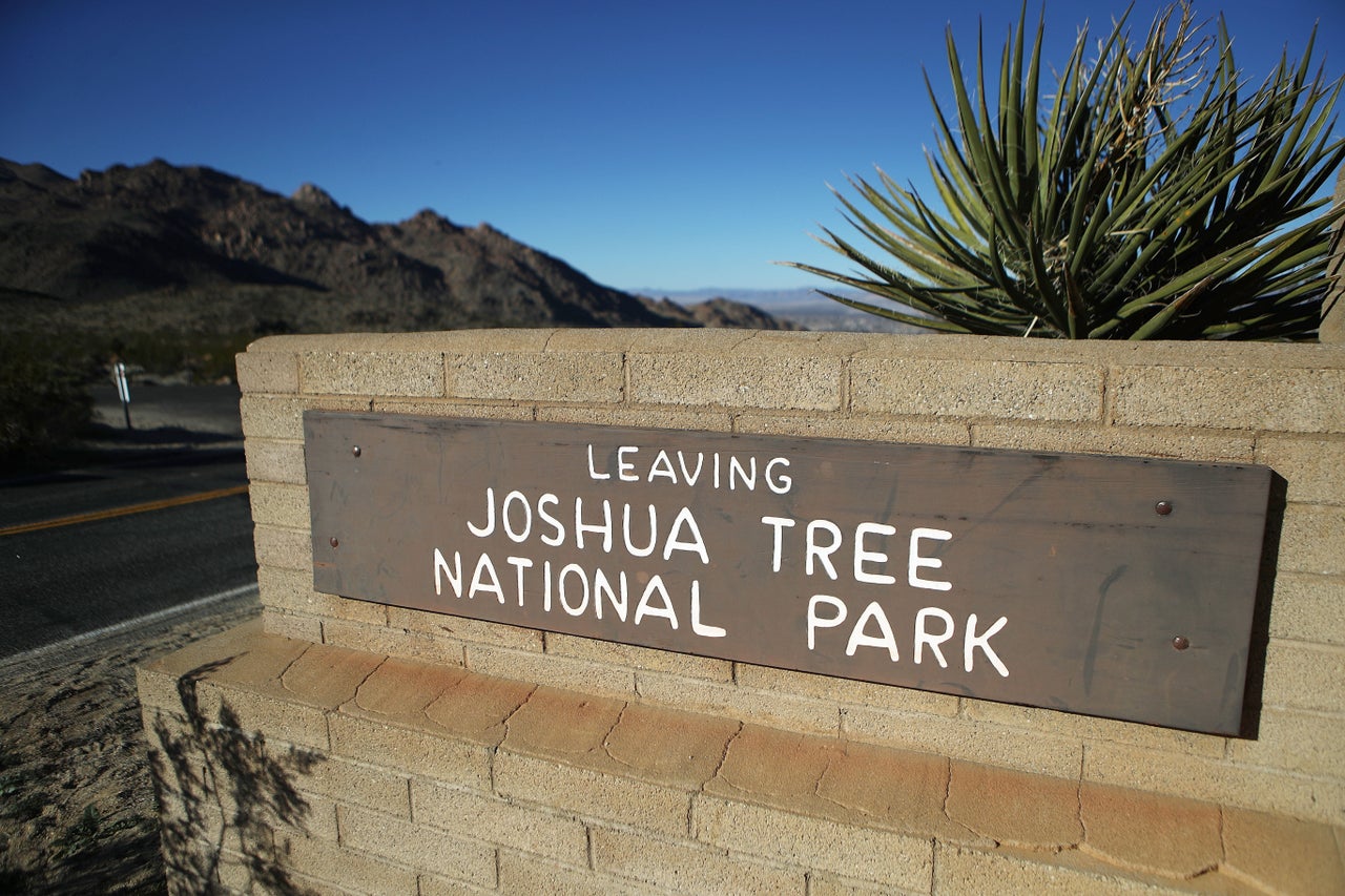 At Joshua Tree National Park, rocks were vandalized and some of the park's namesake trees were cut down during the government shutdown of 2018 and 2019. 