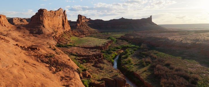 New Documentary Reveals The Colorado River’s Magnificence — And Its Potential Peril 1 The documentary highlights the abundance of life in the 1,450-mile-long waterway, as well as its uncertain future.