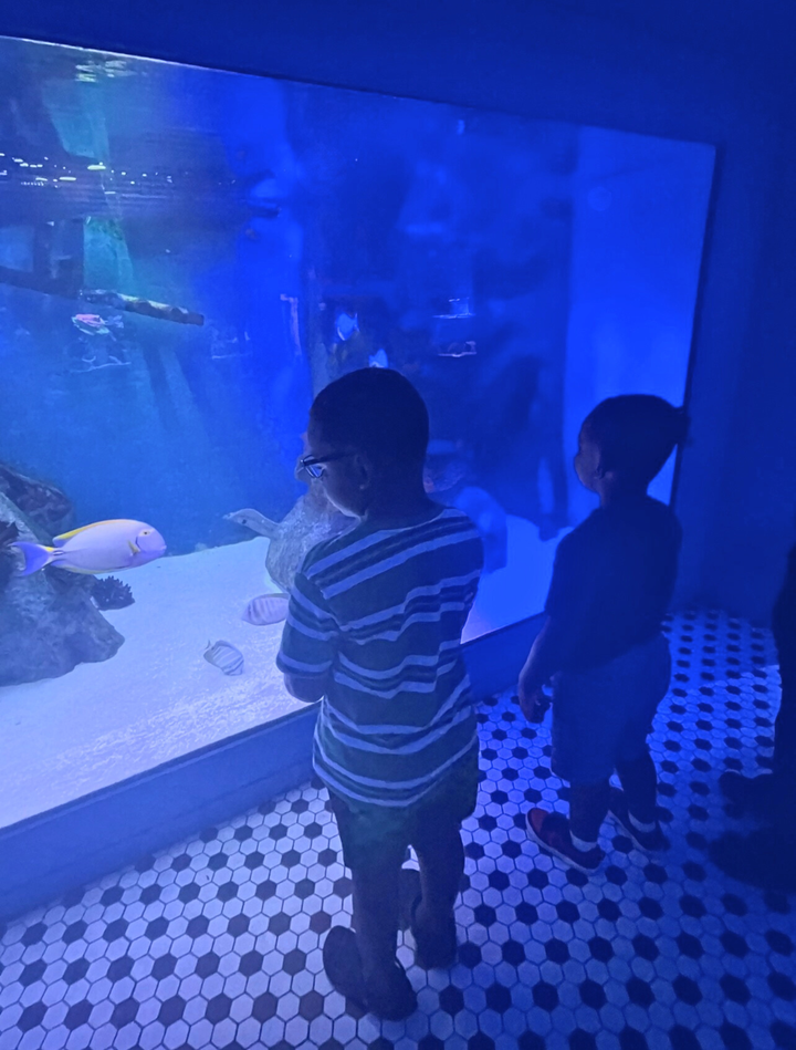 The author's two sons enjoying a day at the aquarium.