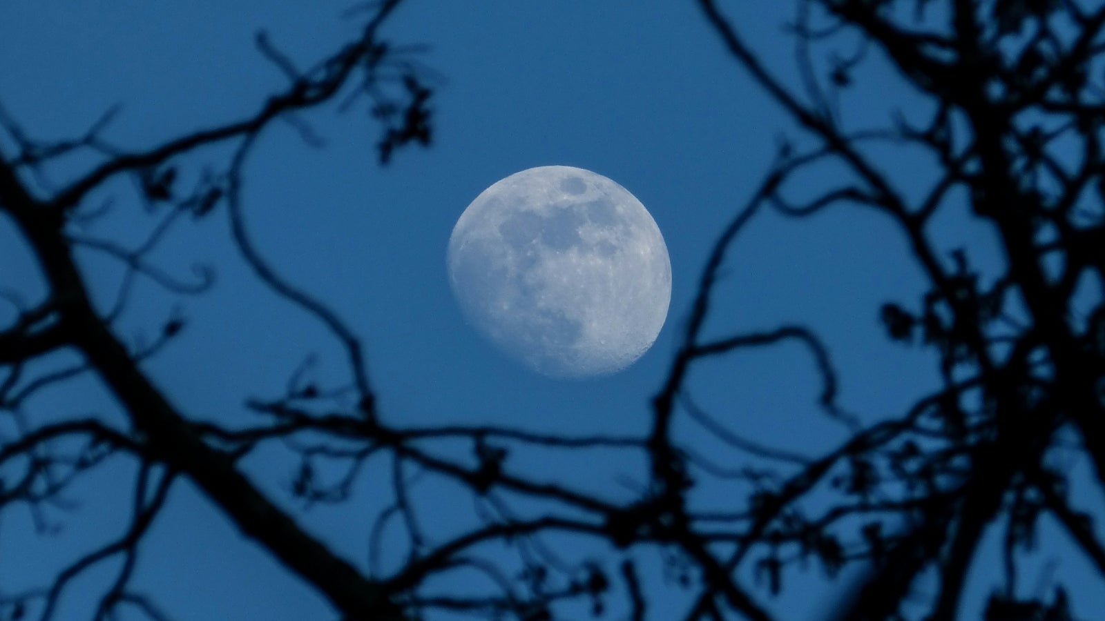 These May Be The Best (And Worst) Bedtimes For Heart Health