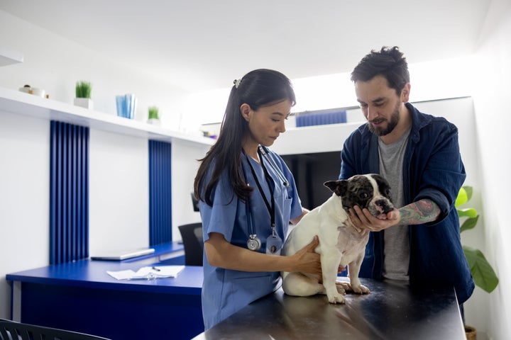 Pet parents should be honest with their vets about their pet's behavior to help the appointment run smoothly.