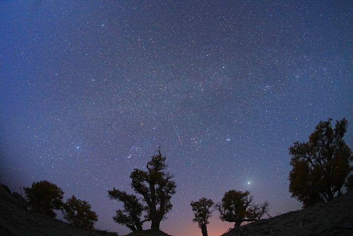 オリオン座流星群の夜空