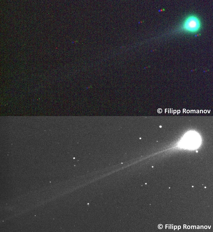 スワン彗星（C/2025 R2）