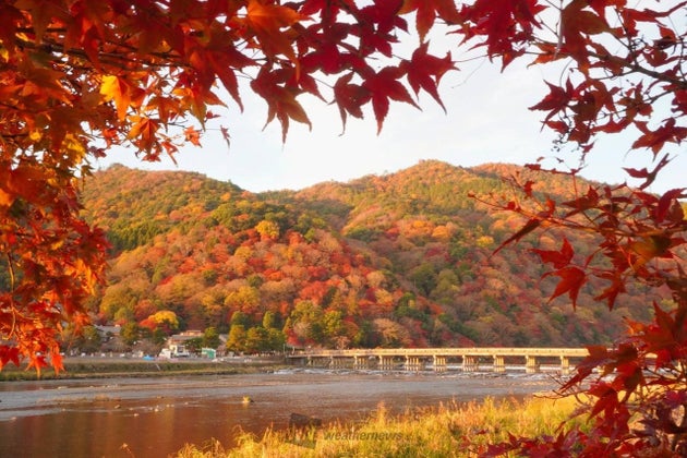 嵐山の紅葉 2024年の様子