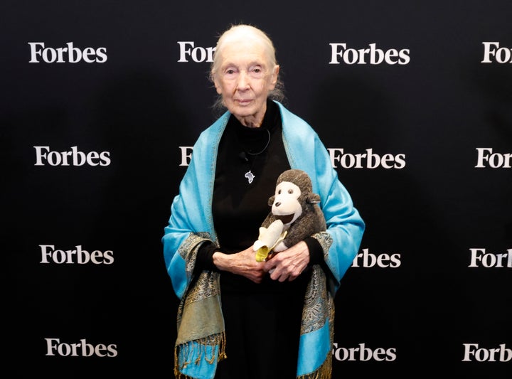Jane Goodall, seen here in September, died of cardiopulmonary arrest at the age of 91 earlier this month, according to the death certificate obtained by TMZ.