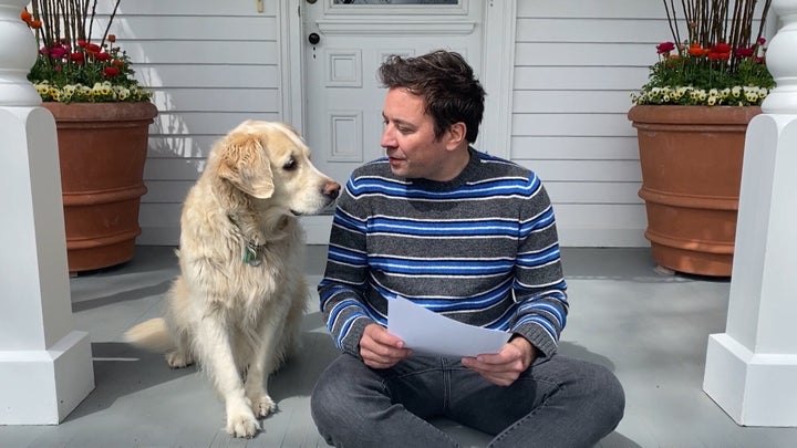Jimmy Fallon Mourns His Golden Retriever In Such Loving Element That It’ll Make You Need A Canine – The Boston Courier Jimmy Fallon Mourns His Golden Retriever In Such Loving Element That It’ll Make You Need A Canine – The Boston Courier