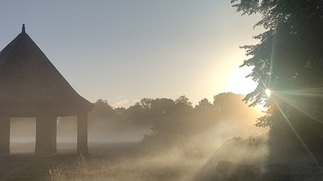 Recent morning walk