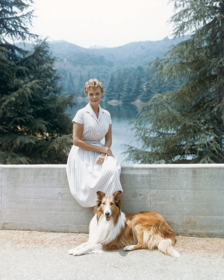 June Lockhart, Beloved Mom Determine From ‘Lassie’ And ‘Misplaced In Area,’ Dies At 100 – The Boston Courier June Lockhart, Beloved Mom Determine From ‘Lassie’ And ‘Misplaced In Area,’ Dies At 100 – The Boston Courier