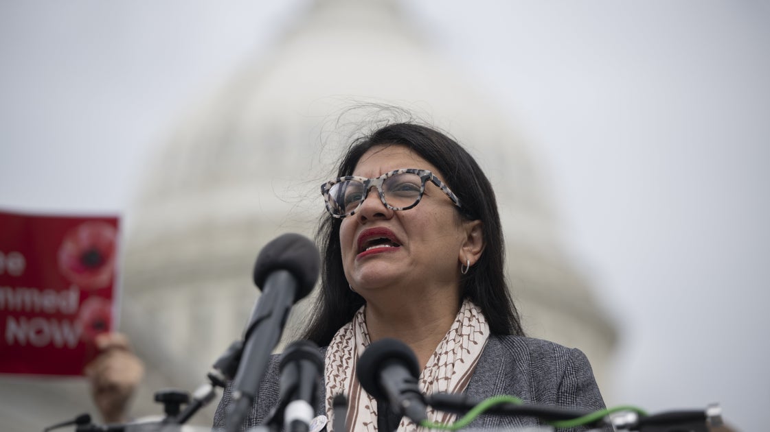 ‘They All Start Crying When We Call Them Fascists’: Tlaib Torches ‘Third Term’ Trump Talk