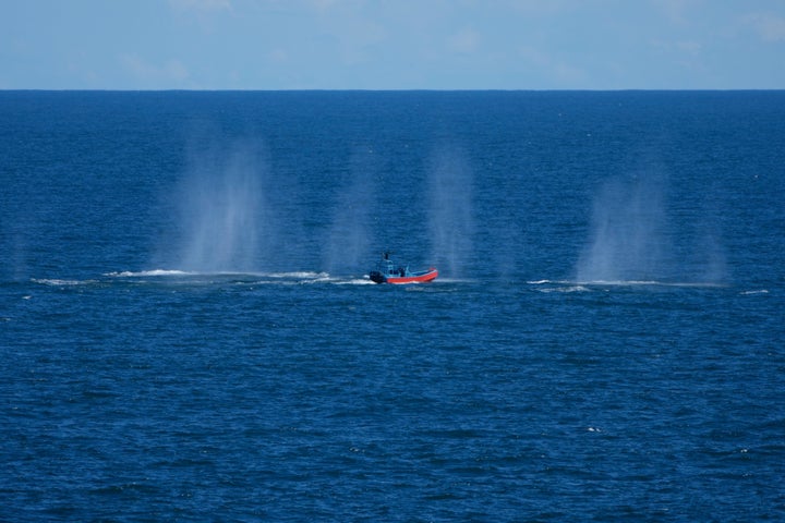 White Home Urged Firing Reside Bombs, Not Dummies, For Trump's Go to To Navy Celebration: AP Sources 1 A naval sea power demonstration, part of the Navy's 250th anniversary celebration, takes place as President Donald Trump and first lady Melania Trump watch, aboard the USS George H.W. Bush aircraft carrier in the Atlantic Ocean off the coast of Norfolk, Va., Sunday, Oct. 5, 2025. (AP Photo/Alex Brandon)