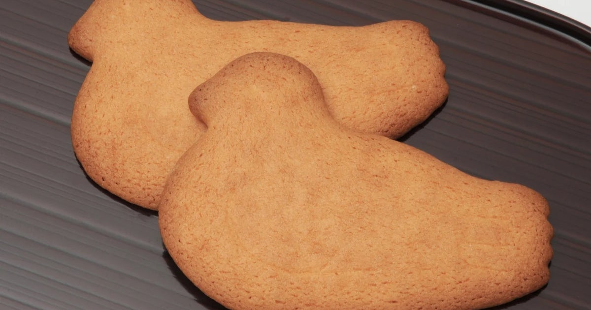 「鳩サブレー」のジッパーバッグがリニューアル！大鳩から小鳩まで楽しめるデザインに「ほしくてたまらない…」