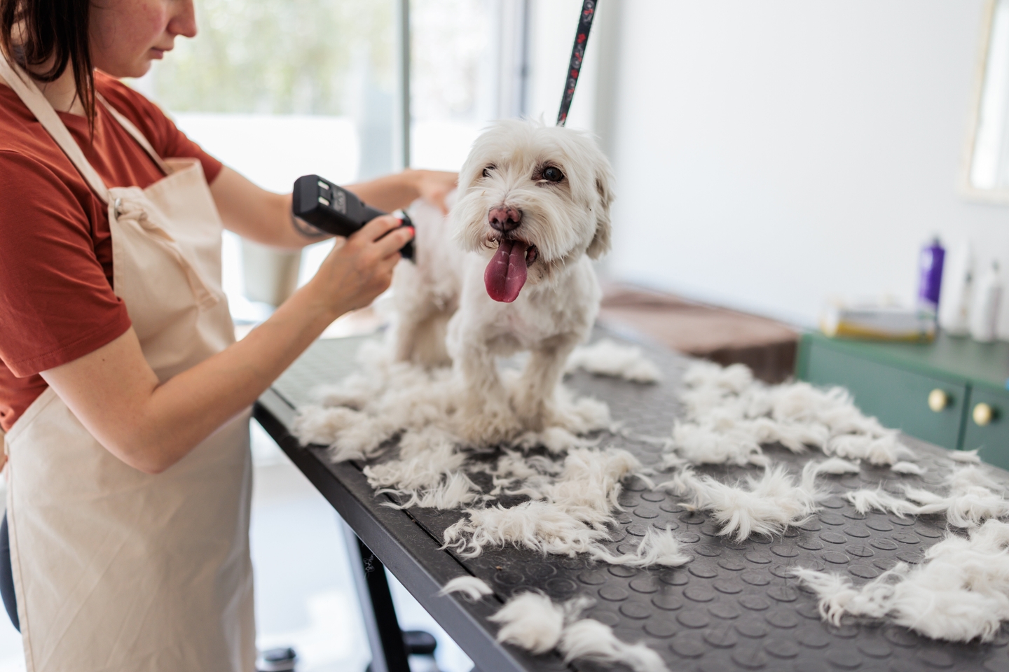 Pet Owners Swear This $50 2-In-1 Grooming Kit Beats A $100 Grooming ...