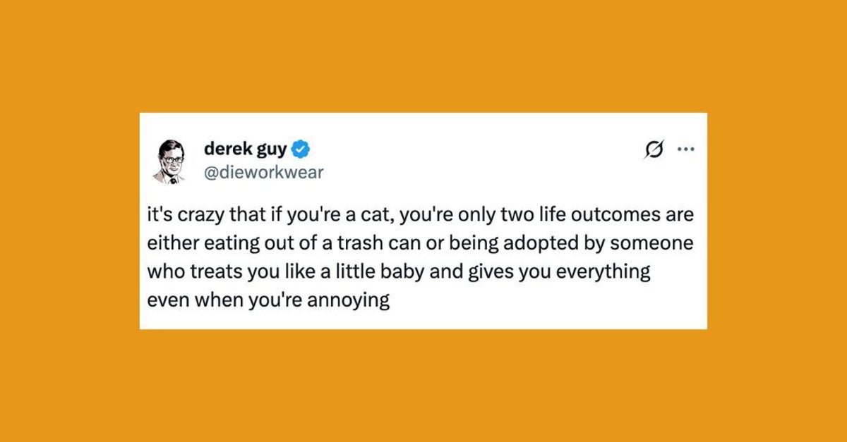 26 Of The Funniest Posts About Cats And Dogs This Week (Oct. 25-31)