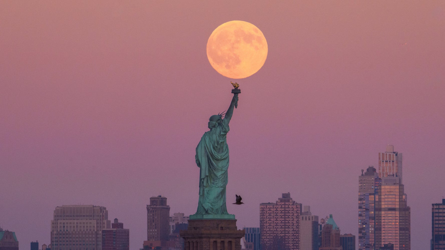 Don't Miss the Super Beaver Moon: November's Spectacular Lunar Show