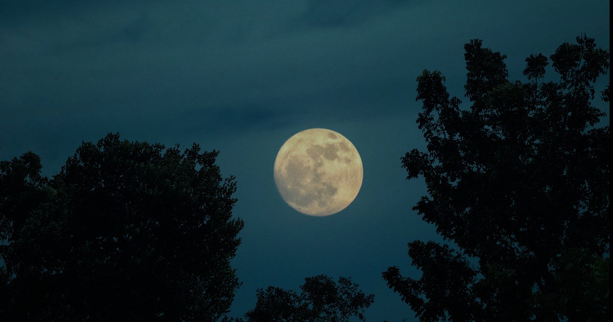 690be7fd18000082630407fe.jpeg?