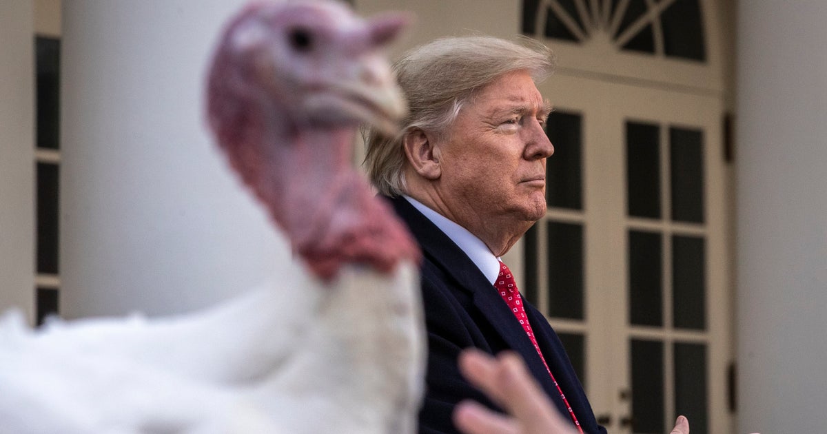 Trump Just Took Credit For Making Thanksgiving Cheaper — Here Are The Actual Facts