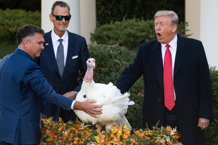 Trump pardons a turkey on Nov. 26, 2019.