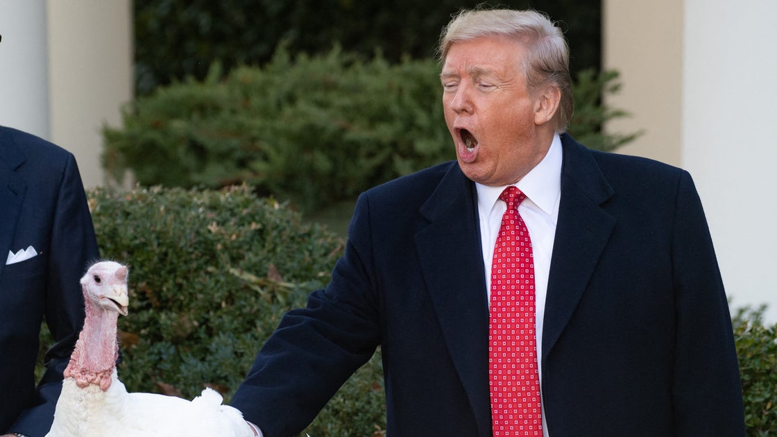 Trump Just Took Credit For Making Thanksgiving Cheaper — Here Are The Actual Facts
