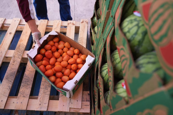 Trump Administration Ordered To Absolutely Fund SNAP Advantages In November 1 A volunteer reaches for a box of tomatoes during a food distribution at the San Antonio Food Ban for SNAP recipients and other households affected by the federal shutdown, Thursday, Nov. 6, 2025, in San Antonio. (AP Photo/Eric Gay)