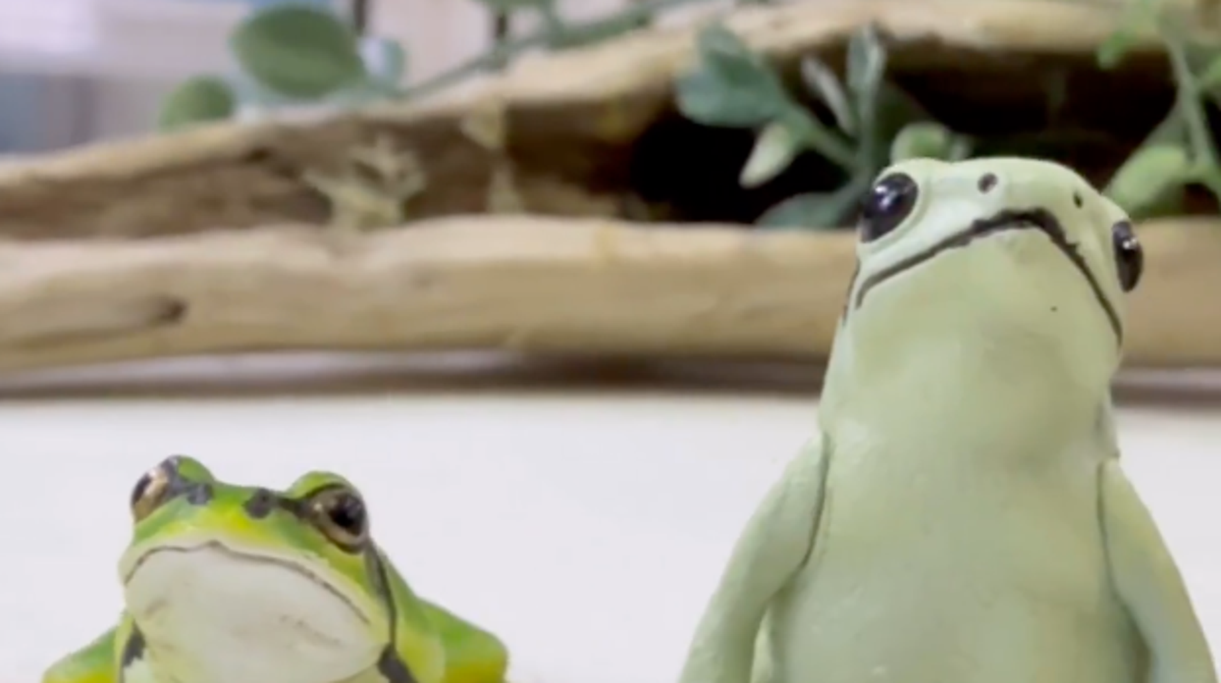 この中に1匹だけ“本物のカエル”がいます。どれかわかる？⇒難易度の