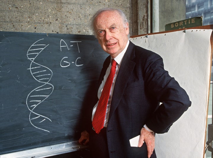 Picture taken on April 23, 1993 in Paris of American geneticist James Dewey Watson in front of a blackboard, explaining his work to discover the molecular structure on DNA for which he shared the 1962 Physiology and Medicine Nobel Prize with British Francis Crick and Maurice Wilkins. ( DANIEL MORDZINSKI/AFP via Getty Images)