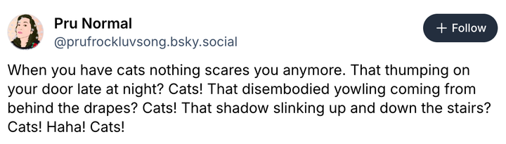Screenshot @prufrockluvsong.bsky.social via Bluesky