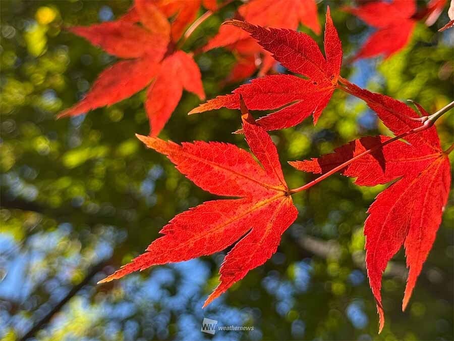 6912abaf17000097569c5297.jpg?